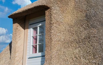 Saval thatch roof disadvantages